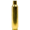 Dogtown Brass 22 Nosler