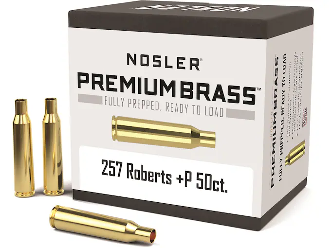 812494.webp 812494.webp