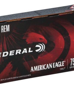 FP AE223T75 223RemTMJ Rm32.jpg