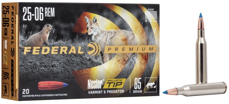 FP_P2506G_2506RemNoslerBallisticTipVarmintPredator_Combo_R FP P2506G 2506RemNoslerBallisticTipVarmintPredator Combo R.jpg