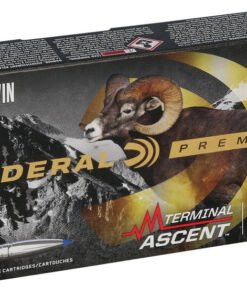 FP P270TA1 270WinTerminalAscent R3.jpg