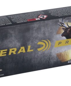 FP P300WSMB 300WSMNoslerPartition Rm3.jpg