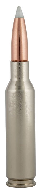 P65CRDA1 Cartridge C.jpg